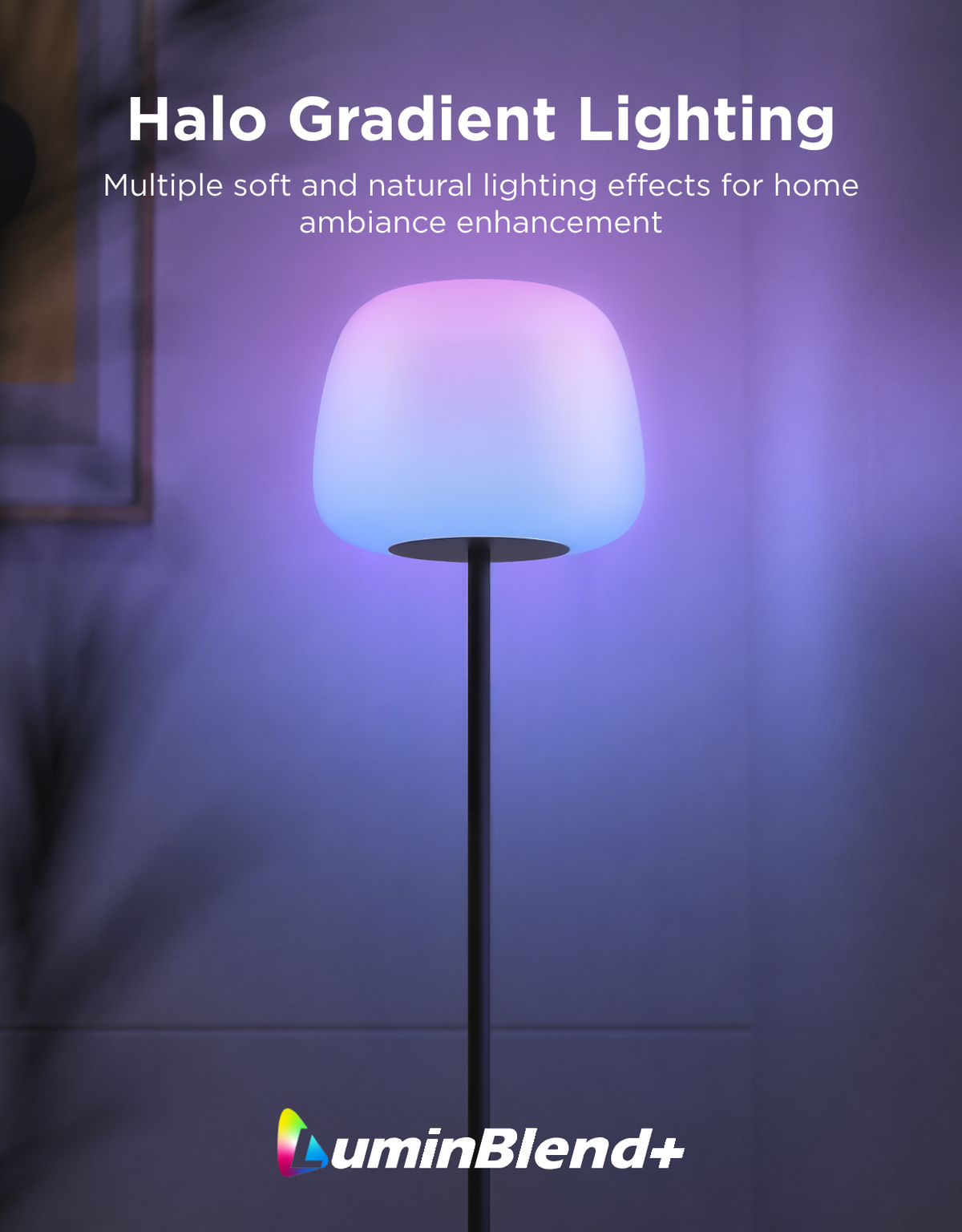 【Govee x Moana】Govee Lantern Floor Lamp
