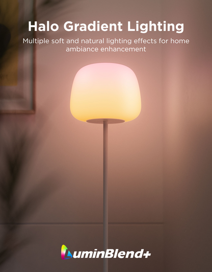 【Govee x Moana】Govee Lantern Floor Lamp