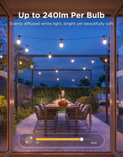 【Business Only】Govee Outdoor Chromatic String Lights