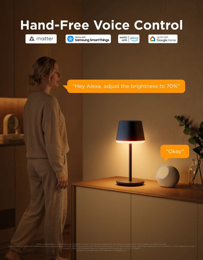 [Govee x Moana] Govee Table Lamp Classic