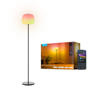 【Govee x Moana】Govee Lantern Floor Lamp